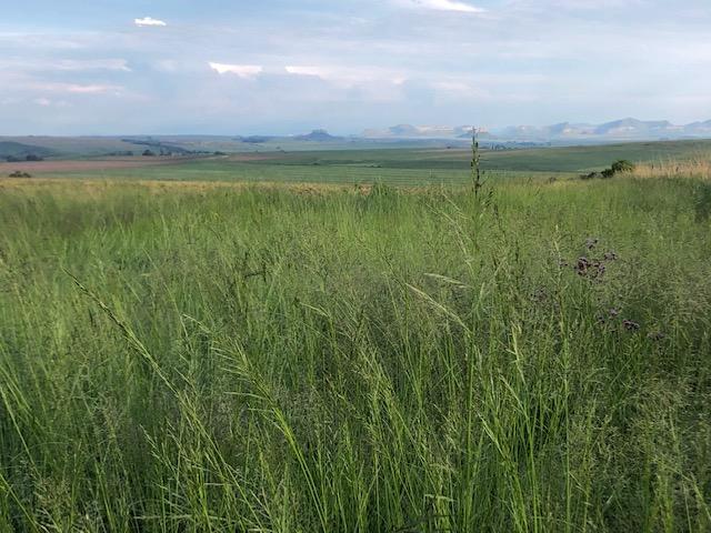 0 Bedroom Property for Sale in Bethlehem Rural Free State